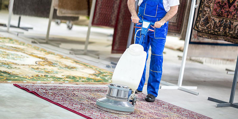 Darıca Halı Yıkama